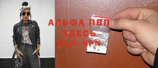apvp Алзамай