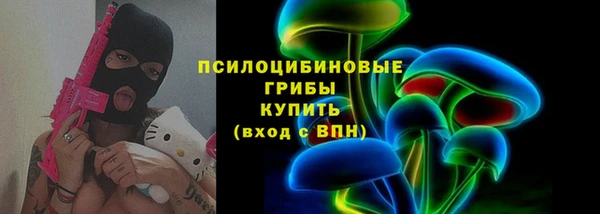 apvp Алзамай