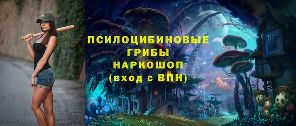 таблы Алексин